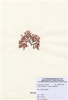 藏品(唸珠鮮奈藻)的圖片